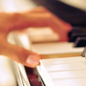 真人毛片免费的毛
