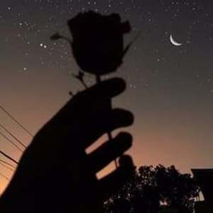 真人毛片免费的毛
