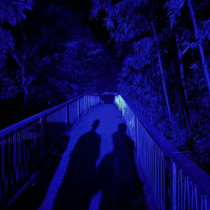 真人毛片免费的毛
