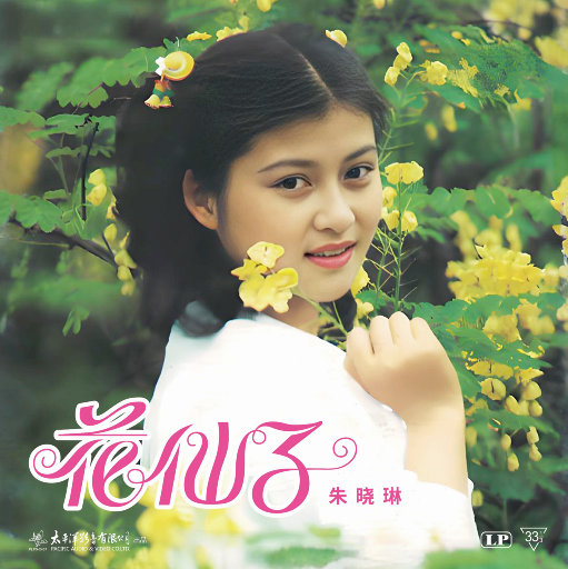 真人毛片免费的毛
